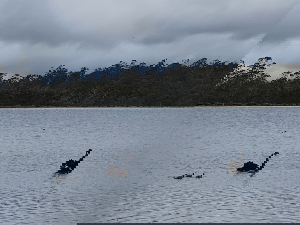 Lake Leake TAS Accommodation in Bendigo