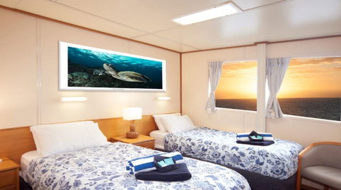 Reef Encounter - Accommodation in Bendigo 2