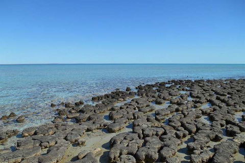 Hamelin Pool Caravan Park - Accommodation in Bendigo 4