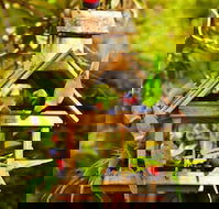 Crystal Brook Tourist Park