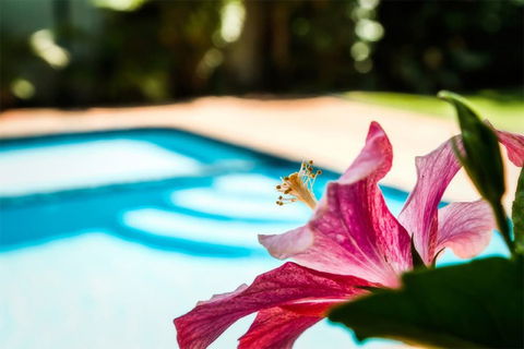 Coffs Harbour Holiday Apartments - Accommodation in Bendigo 1