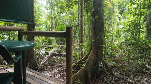 Daintree Crocodylus - Accommodation in Bendigo 2