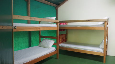 Daintree Crocodylus - Accommodation in Bendigo 6