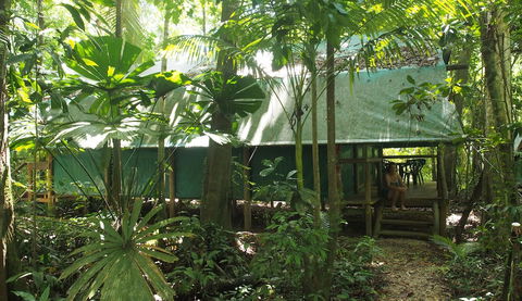Daintree Crocodylus - Accommodation in Bendigo 1