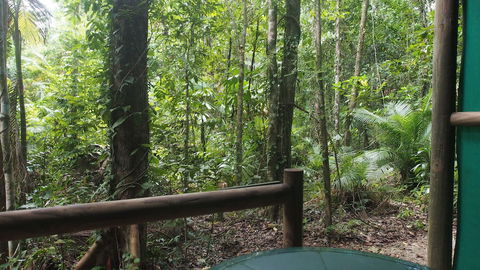 Daintree Crocodylus - Accommodation in Bendigo 0