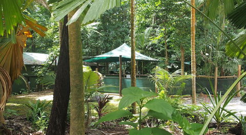 Daintree Crocodylus - Accommodation in Bendigo 5