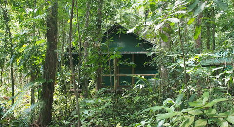 Daintree Crocodylus - Accommodation in Bendigo 3