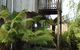 The Wombat Cottage - thumb 6