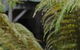 The Wombat Cottage - thumb 0