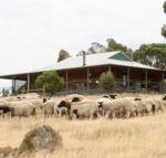 Gilgraves Vineyard Farmstay - Accommodation in Bendigo