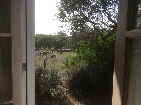 Aashay B & B - Accommodation in Bendigo 3