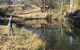 Farringdon Homestead - thumb 3
