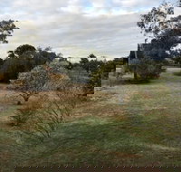 Young Budget Accommodation - Accommodation in Bendigo