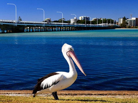 Parkside Marina 1 CBD Location - Accommodation in Bendigo 4