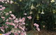 Adelaide Hills B & B Accommodation - thumb 6