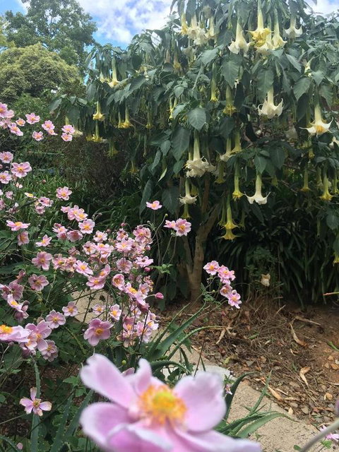 Adelaide Hills B & B Accommodation - Accommodation in Bendigo 6