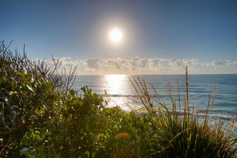 Osprey Sapphire Beach NSW - Accommodation in Bendigo 6