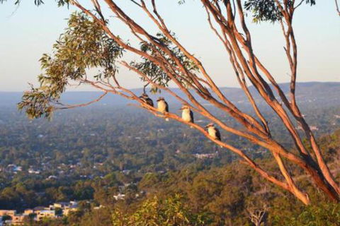 Kingsview Belair Apartment Grand Views Of Adelaide - Accommodation in Bendigo 4