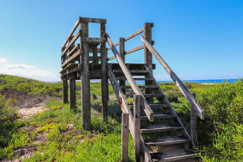 The Surf Shack - Accommodation in Bendigo 4