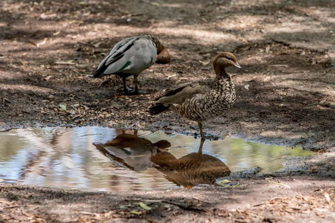 Belair National Park Holiday Park - Accommodation in Bendigo 6