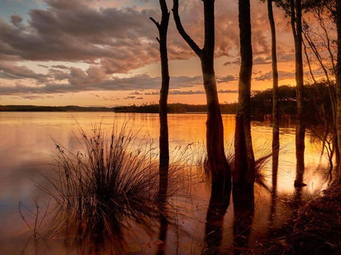 Banksia - Accommodation in Bendigo 3