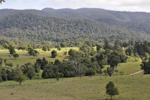 The Jungle Stays - Accommodation in Bendigo 5