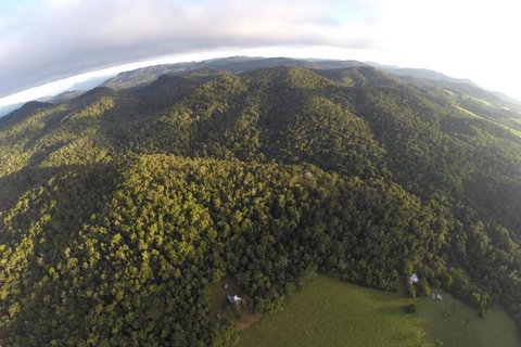 The Jungle Stays - Accommodation in Bendigo 6