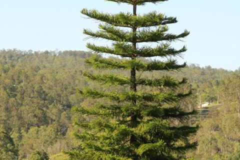 KooralBnB - Accommodation in Bendigo 3