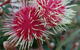 Beaumaris Beach Guest House - thumb 3