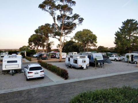 Murray Bridge Tourist Park - Accommodation in Bendigo 4