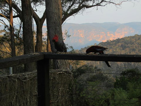 Canyon Cottage - Accommodation in Bendigo 6