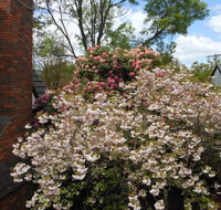 Merrimeet Cottages - Accommodation in Bendigo
