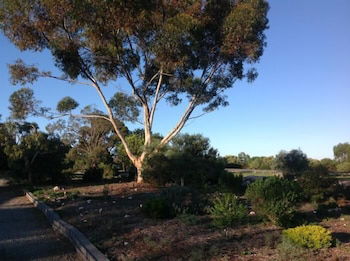 Murray Bridge Motor Inn - Accommodation in Bendigo 1