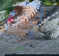 Halls Haven Holiday Units - Accommodation in Bendigo