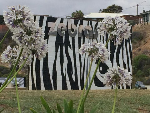 Zebras Guest House - Accommodation in Bendigo 6