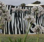 Zebras Guest House - Accommodation in Bendigo