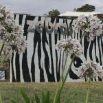 Zebras Guest House - Accommodation in Bendigo 0