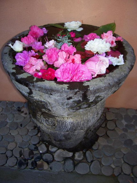 Riveresque - Accommodation in Bendigo 2