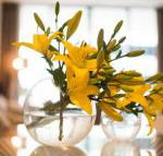 KUI Manhattan Apartments - Accommodation in Bendigo