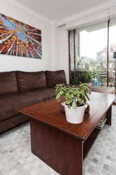 Potts Point Springfield Avenue (I) - Accommodation in Bendigo 1