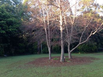 Boambee Retreat - Accommodation in Bendigo 4