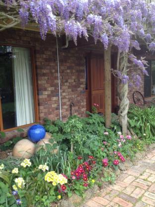 Wisteria Lodge - Accommodation in Bendigo 4