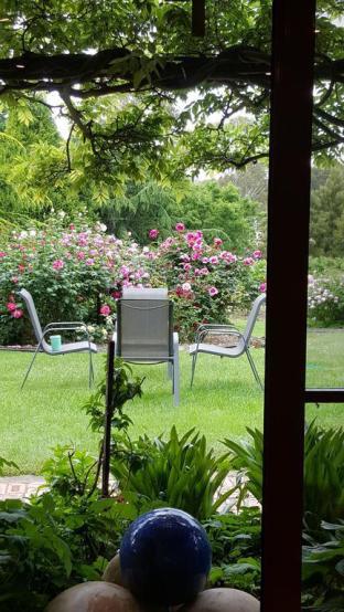 Wisteria Lodge - Accommodation in Bendigo 5