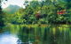 Silky Oaks Lodge - thumb 0