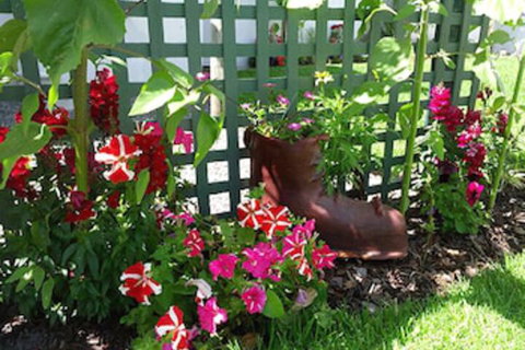 Albany Bayview Lodge YHA - Accommodation in Bendigo 0