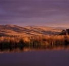 Wombat Hills Cottages - Accommodation in Bendigo