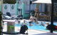Youth Shack Backpackers - Hostel - thumb 1