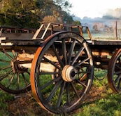 Toorongo River Sanctuary