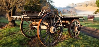 Toorongo River Sanctuary - Accommodation in Bendigo 0