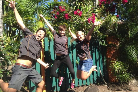 JJs Backpackers Hostel - Accommodation in Bendigo 6